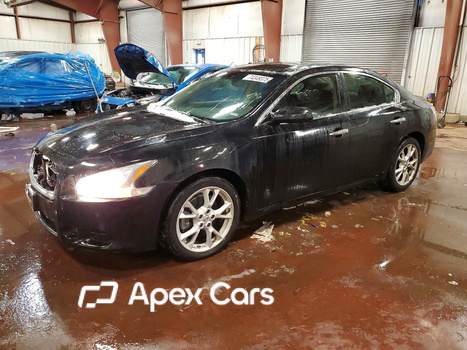 Nissan Maxima 2014 - Zdjęcie 1 z 14