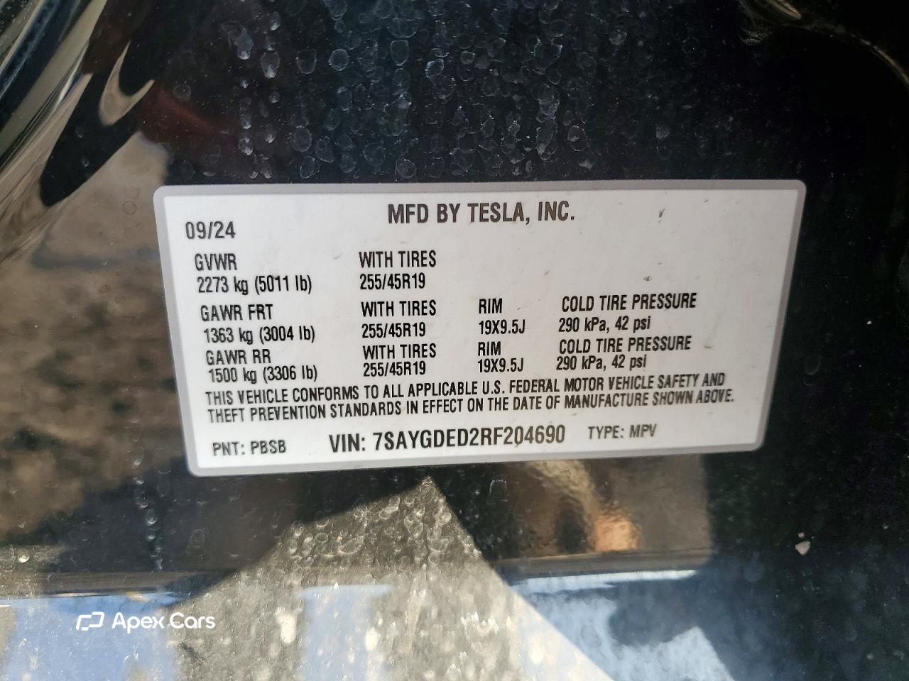 Tesla Model Y 2024