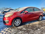 Kia Rio 2017