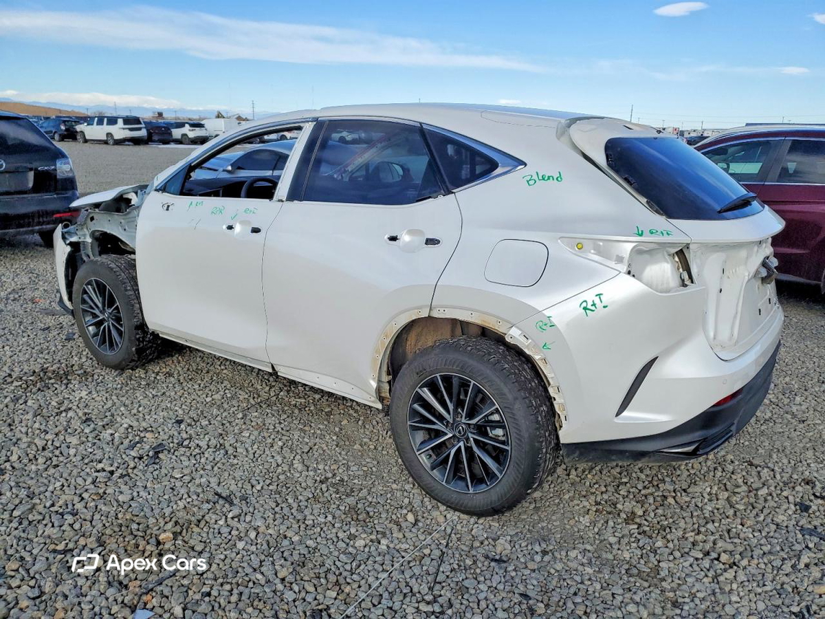 Lexus NX 2025