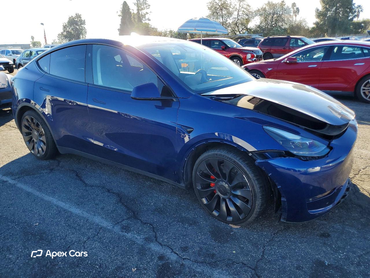 Tesla Model Y 2023