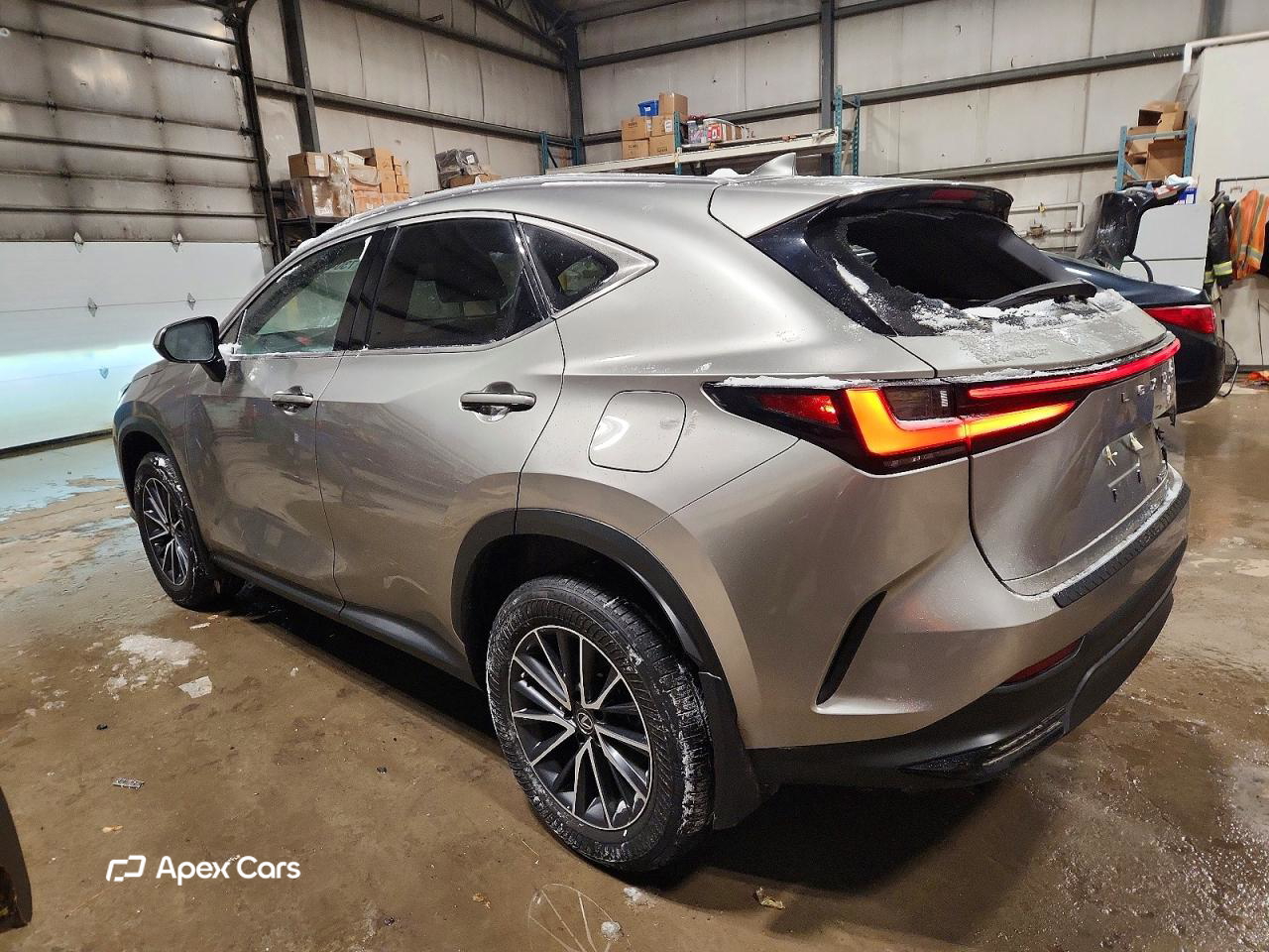 Lexus NX 2022