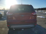 Ford Escape 2014