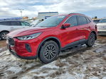 Ford Escape 2024