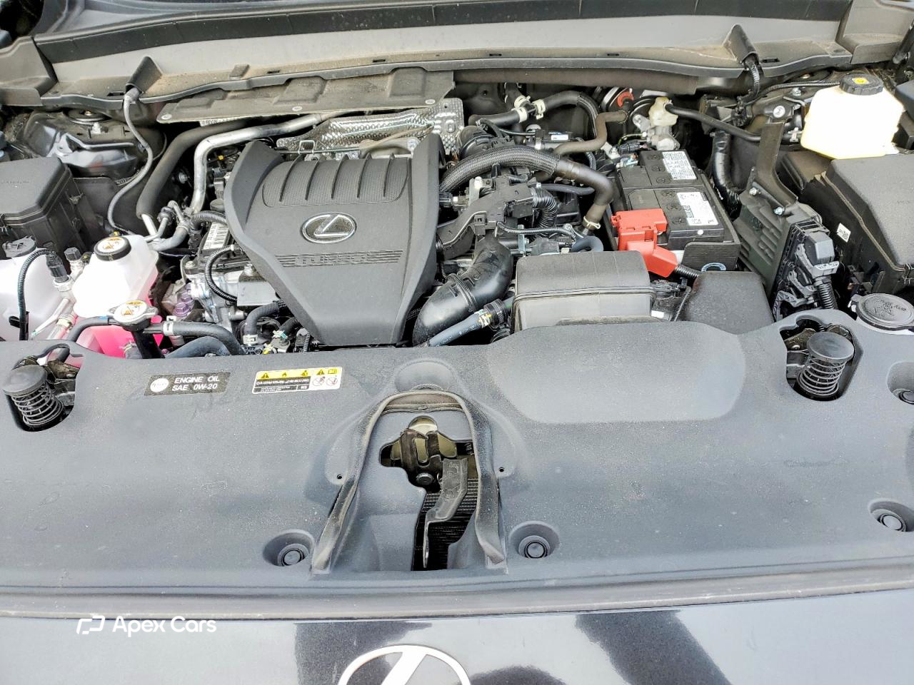 Lexus TX 2025