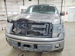 Ford F-150 2013