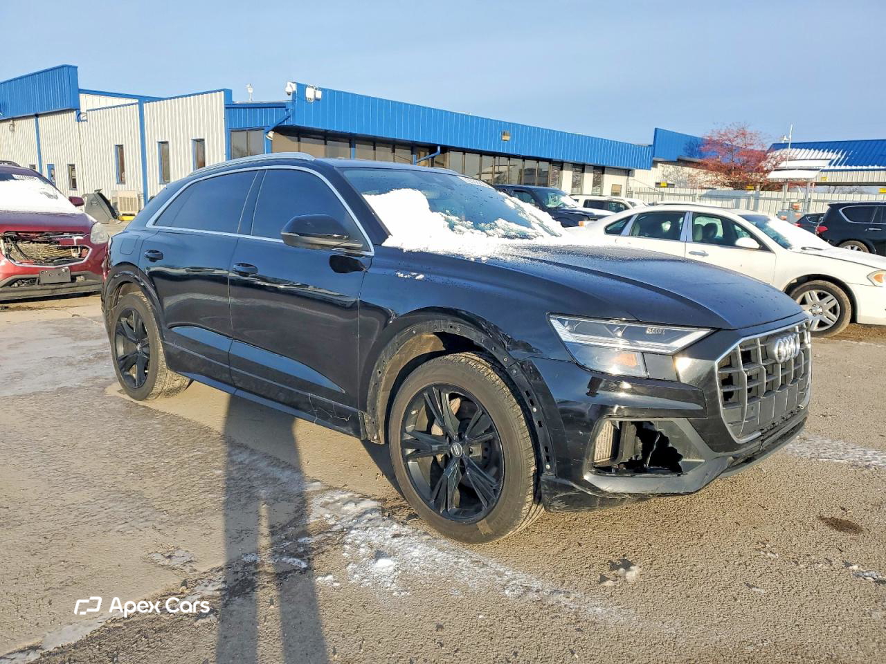 Audi Q8 2019