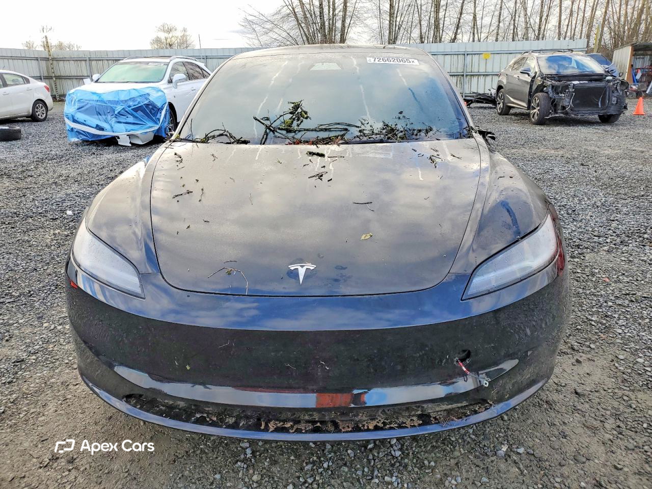 Tesla Model 3 2025