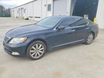 Lexus LS 2008