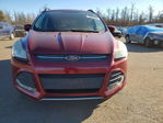 Ford Escape 2014
