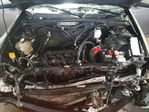 Ford Escape 2012