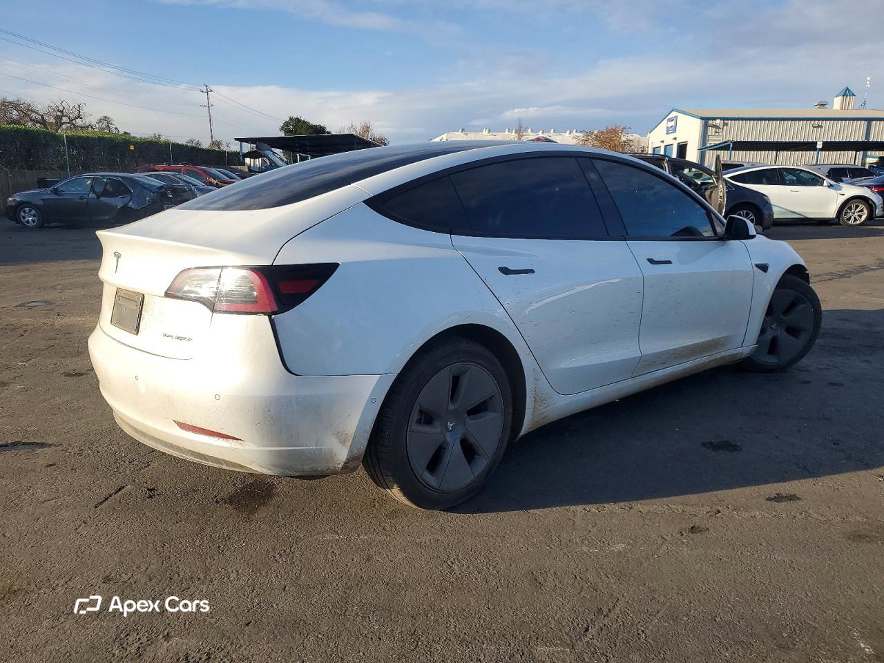 Tesla Model 3 2021