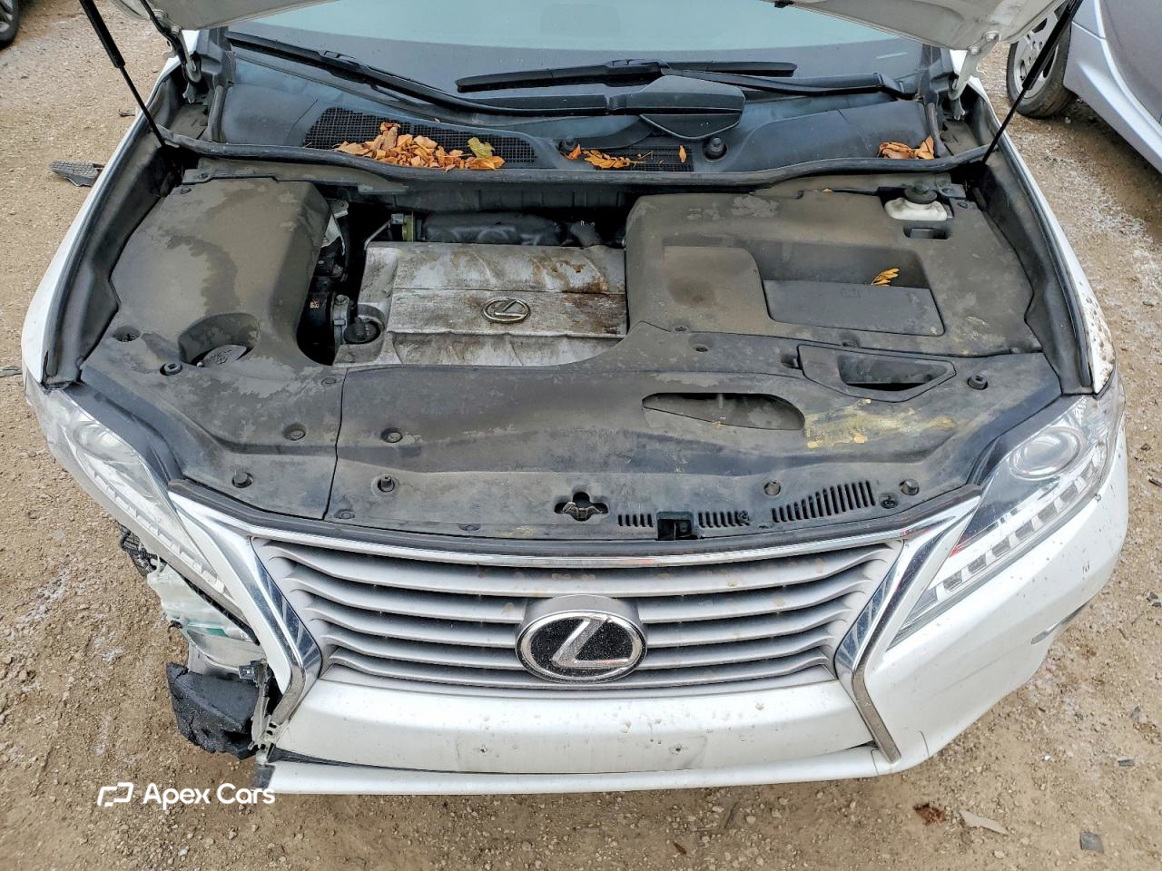 Lexus RX 2014