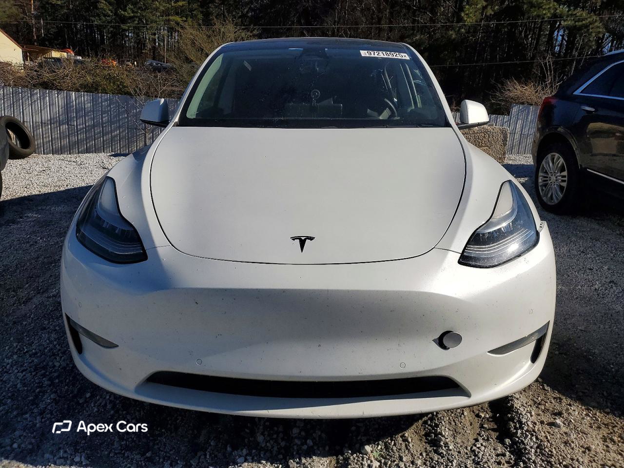 Tesla Model Y 2020
