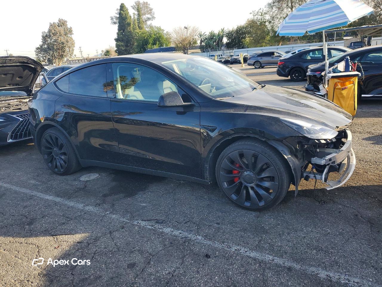 Tesla Model Y 2022