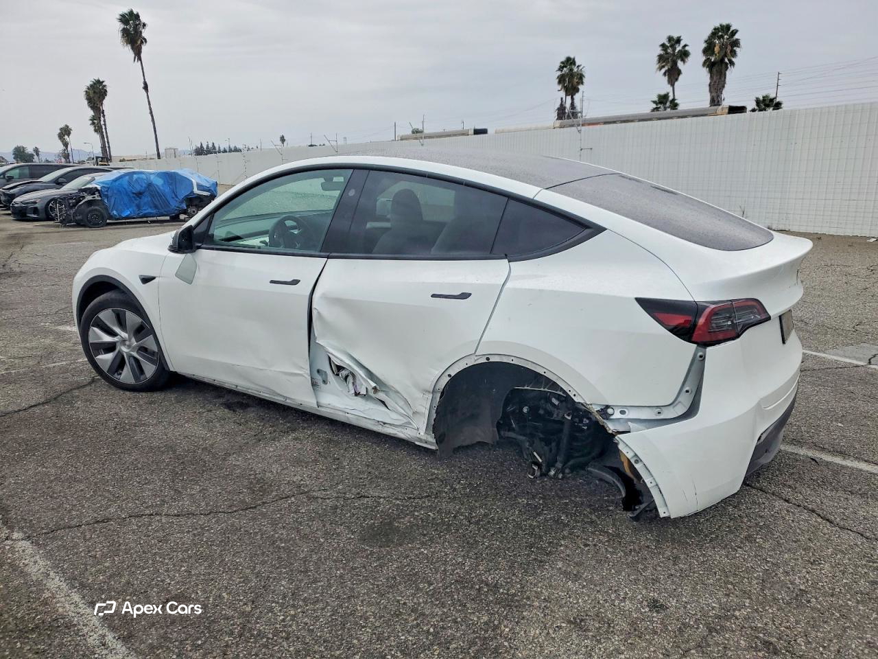 Tesla Model Y 2024