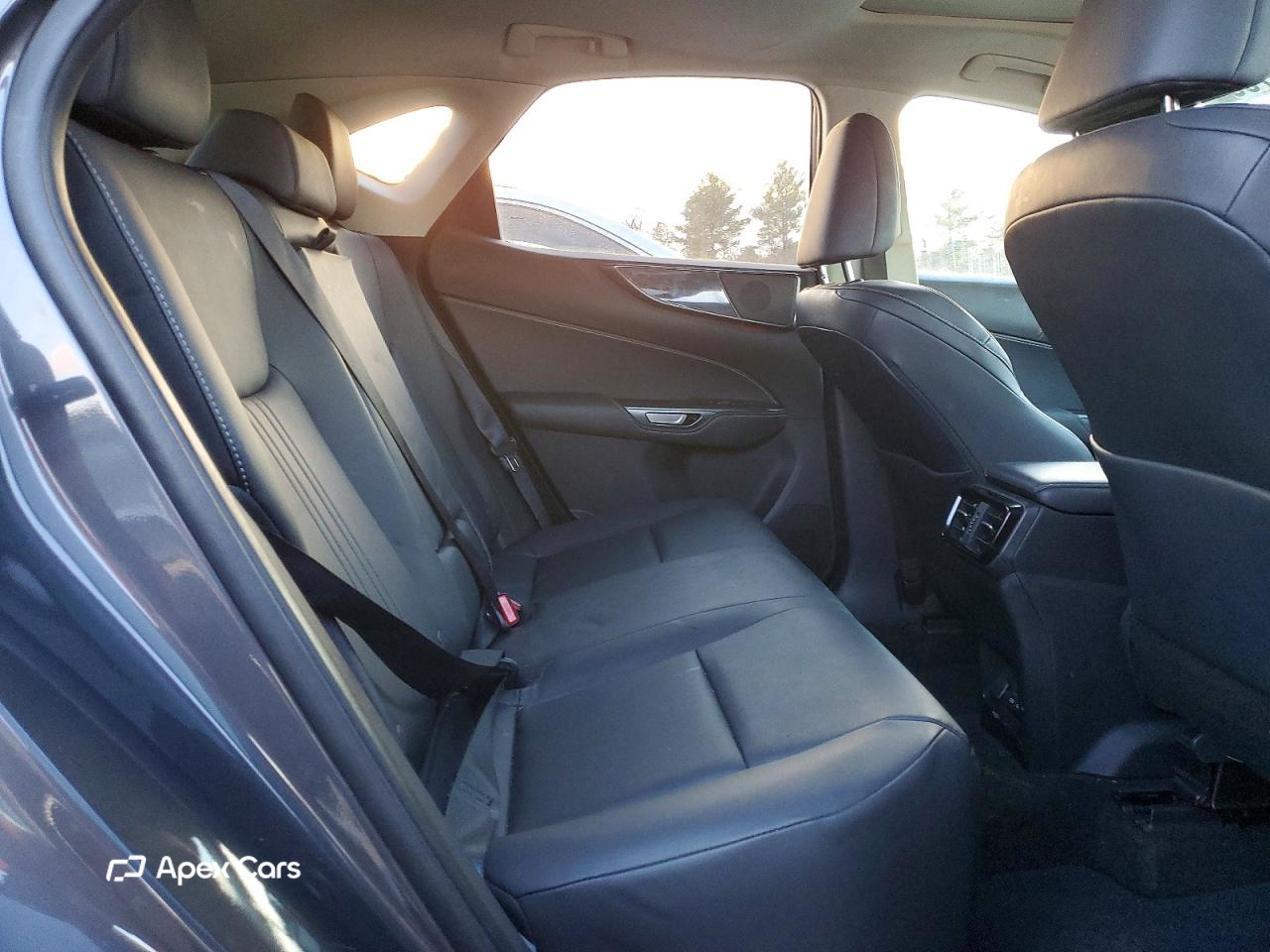 Lexus NX 2024