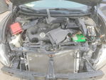 Nissan Maxima 2010