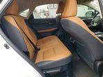 Lexus NX 2020