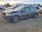 Honda Accord 2013