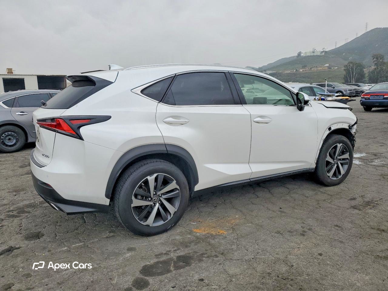 Lexus NX 2020