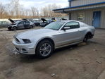 Ford Mustang 2014