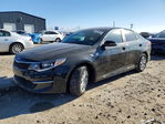 Kia Optima 2016