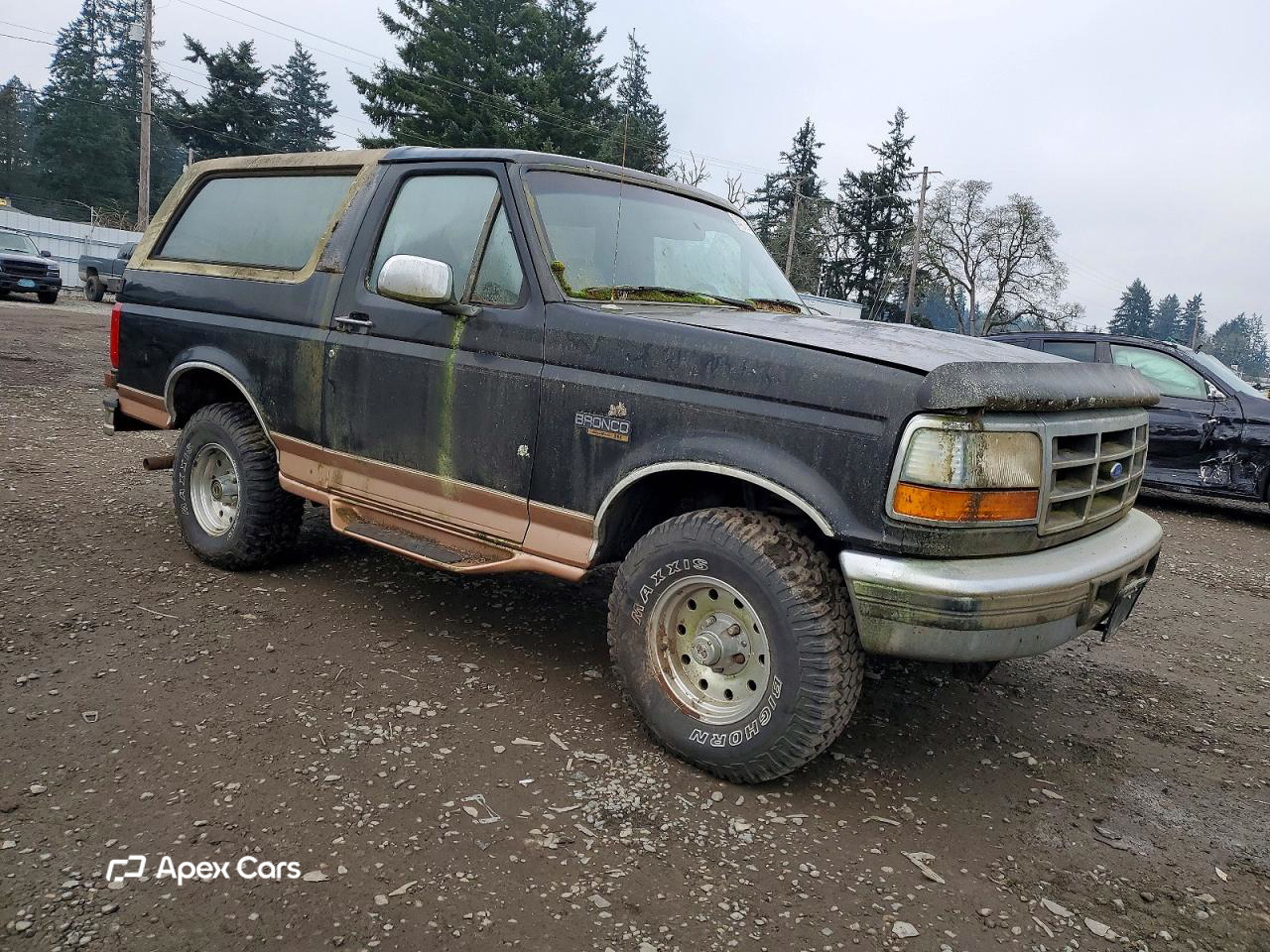 Ford Bronco 1995