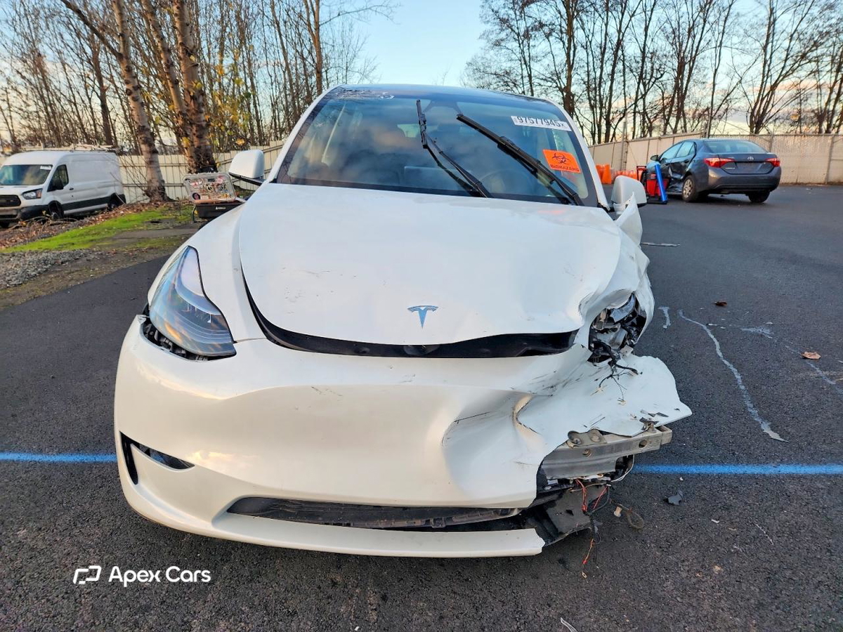 Tesla Model Y 2025