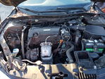 Honda Accord 2016