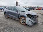 Ford Escape 2022