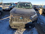 Toyota RAV 4 2024