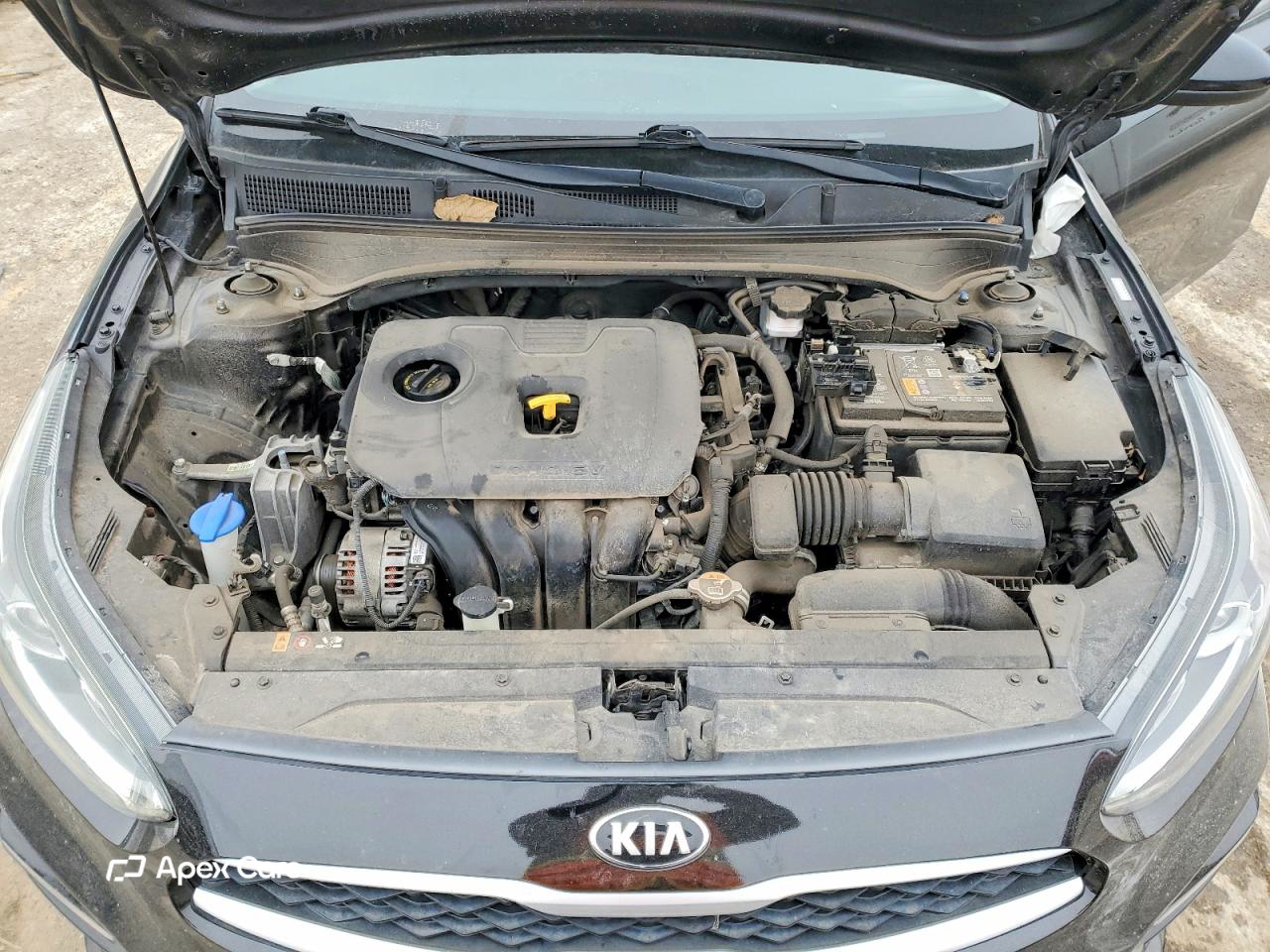 Kia Forte 2021