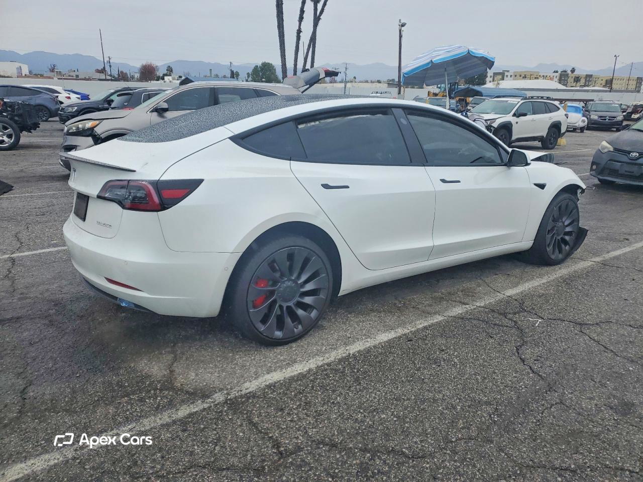 Tesla Model 3 2021