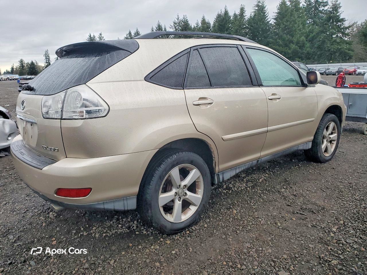 Lexus RX 2004