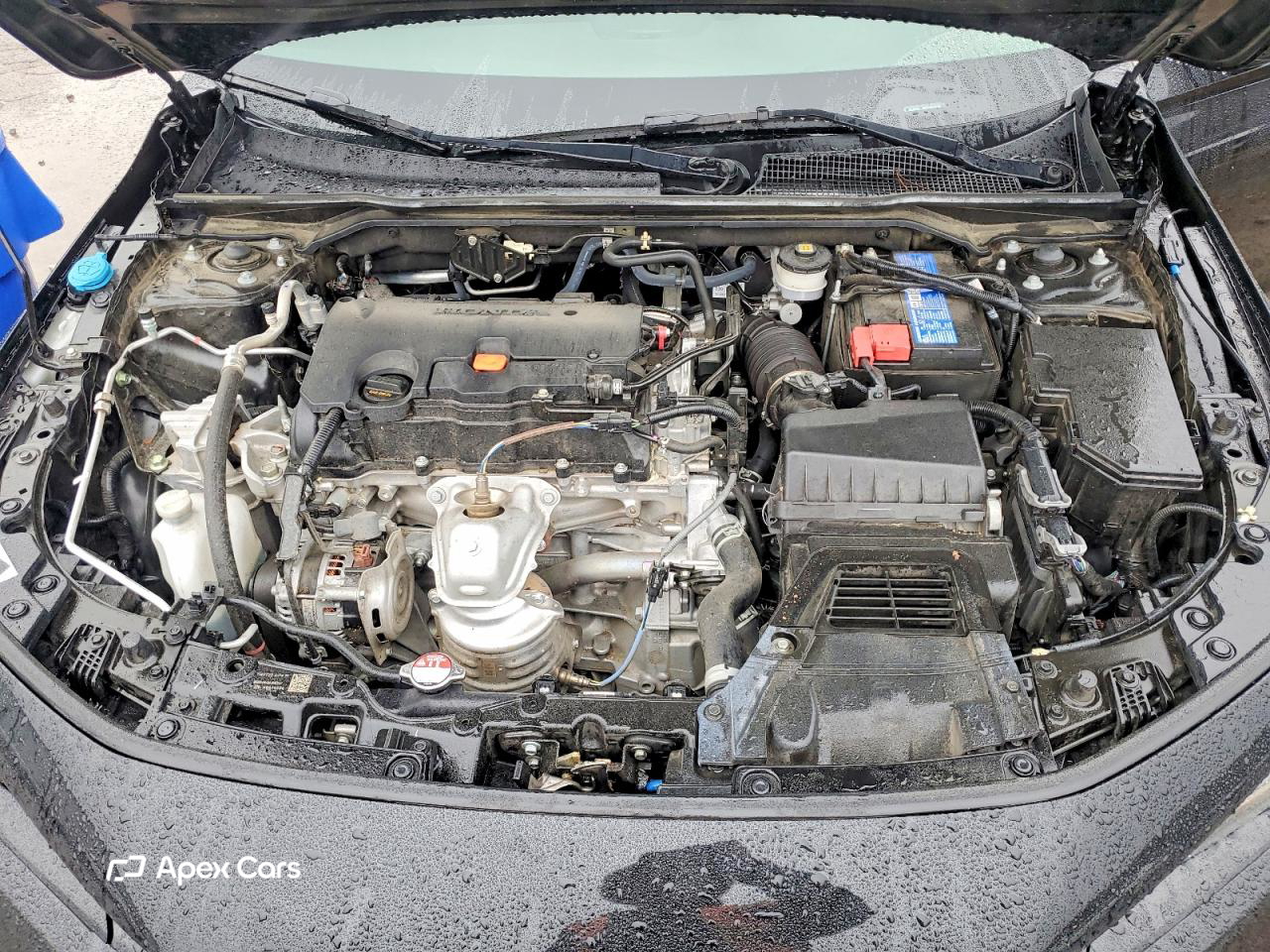 Honda Civic 2024