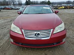Lexus ES 2010