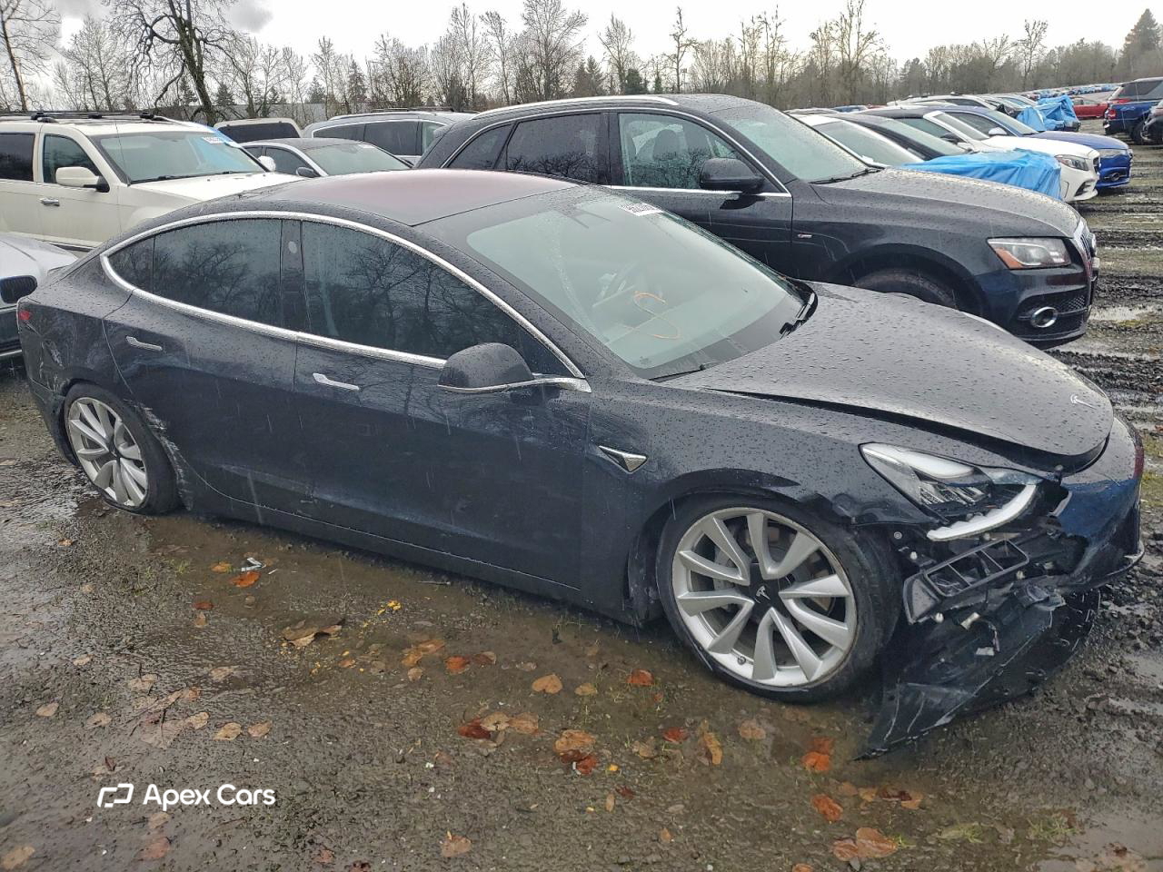 Tesla Model 3 2018