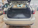 Lexus RX 2021