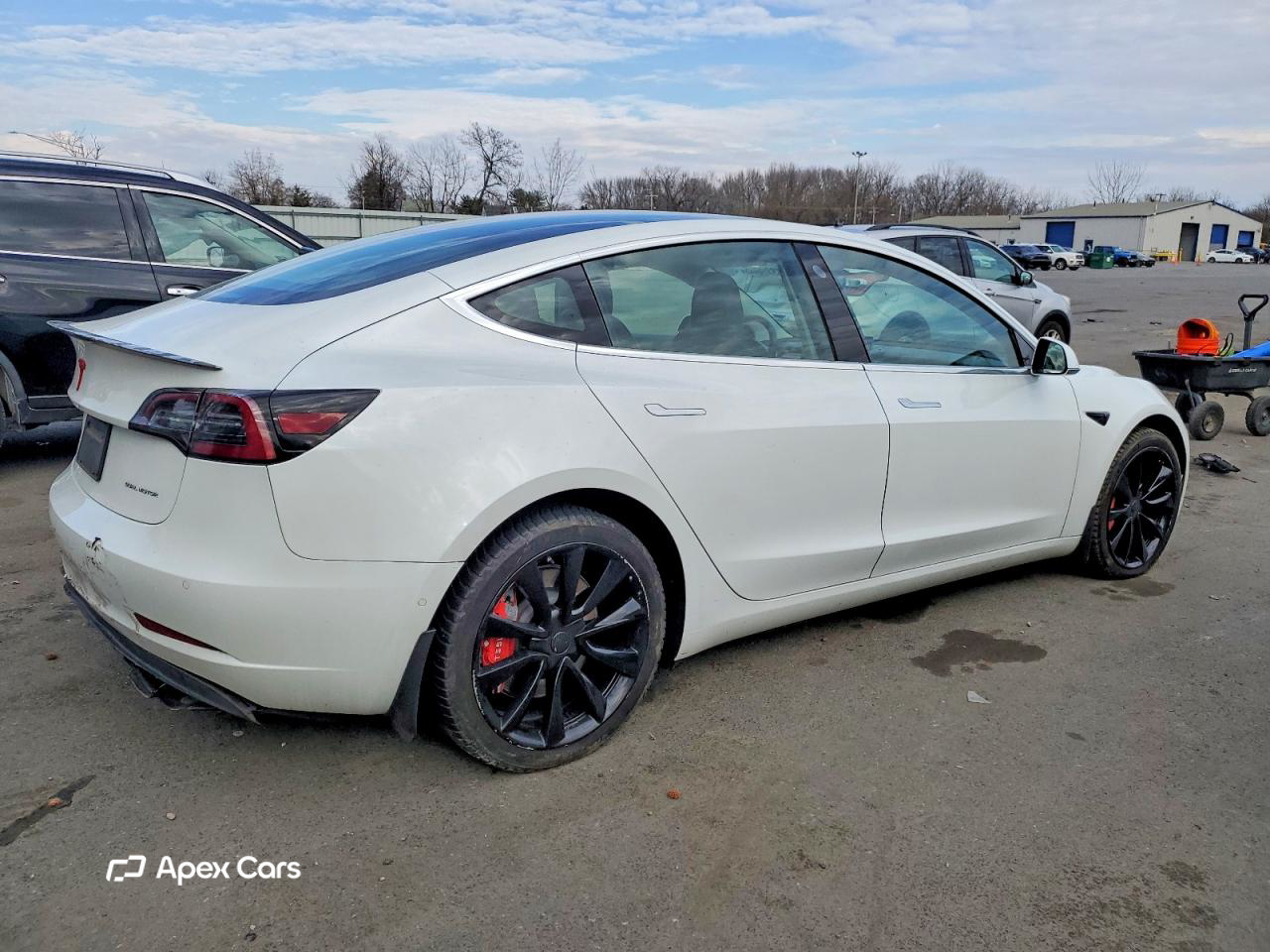 Tesla Model 3 2019