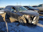 Toyota RAV 4 2024