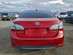 Lexus HS 2010