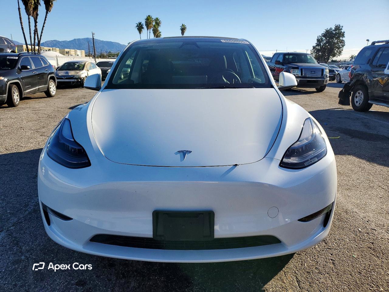 Tesla Model Y 2025