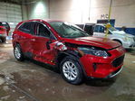 Ford Escape 2020