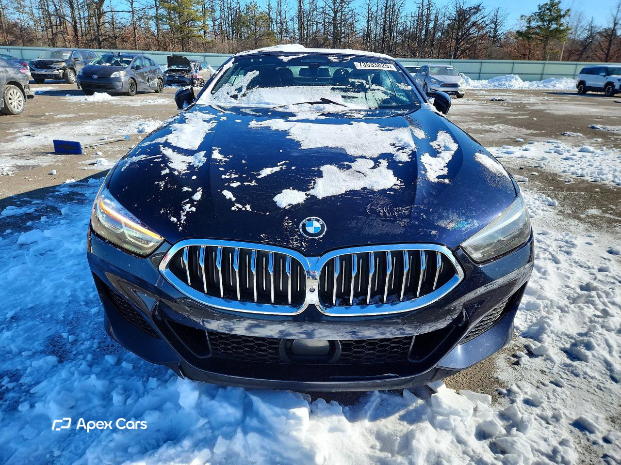 BMW Series 8 2019