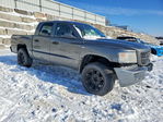 Dodge Dakota 2010