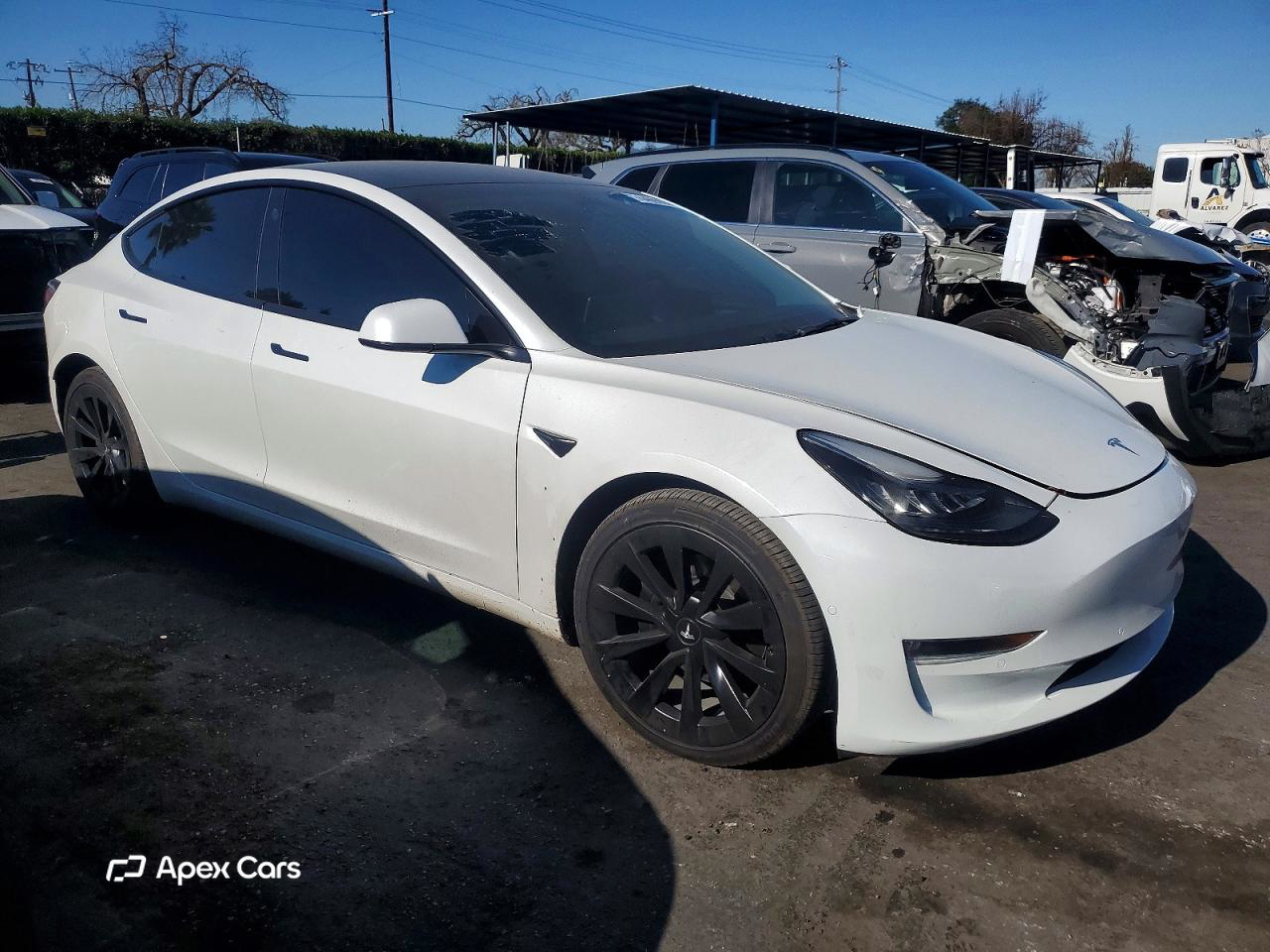 Tesla Model 3 2022