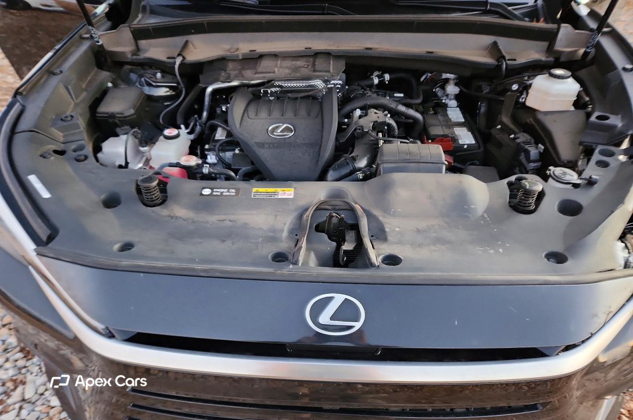 Lexus TX 2024