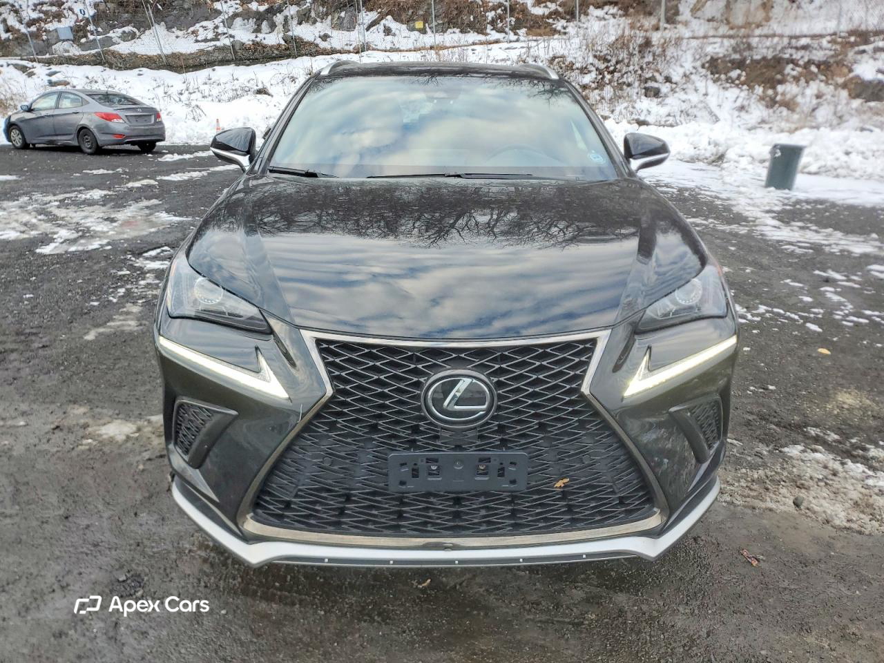 Lexus NX 2020