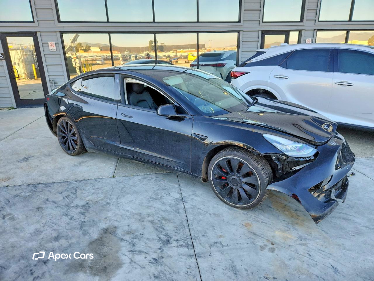 Tesla Model 3 2019